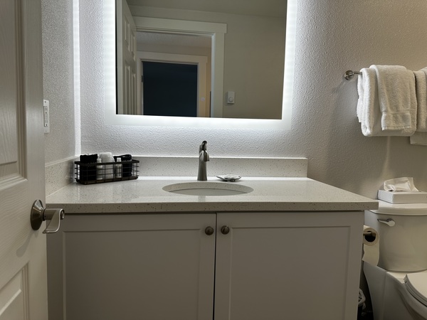 One Bedroom Double Queen Suite Photo 9